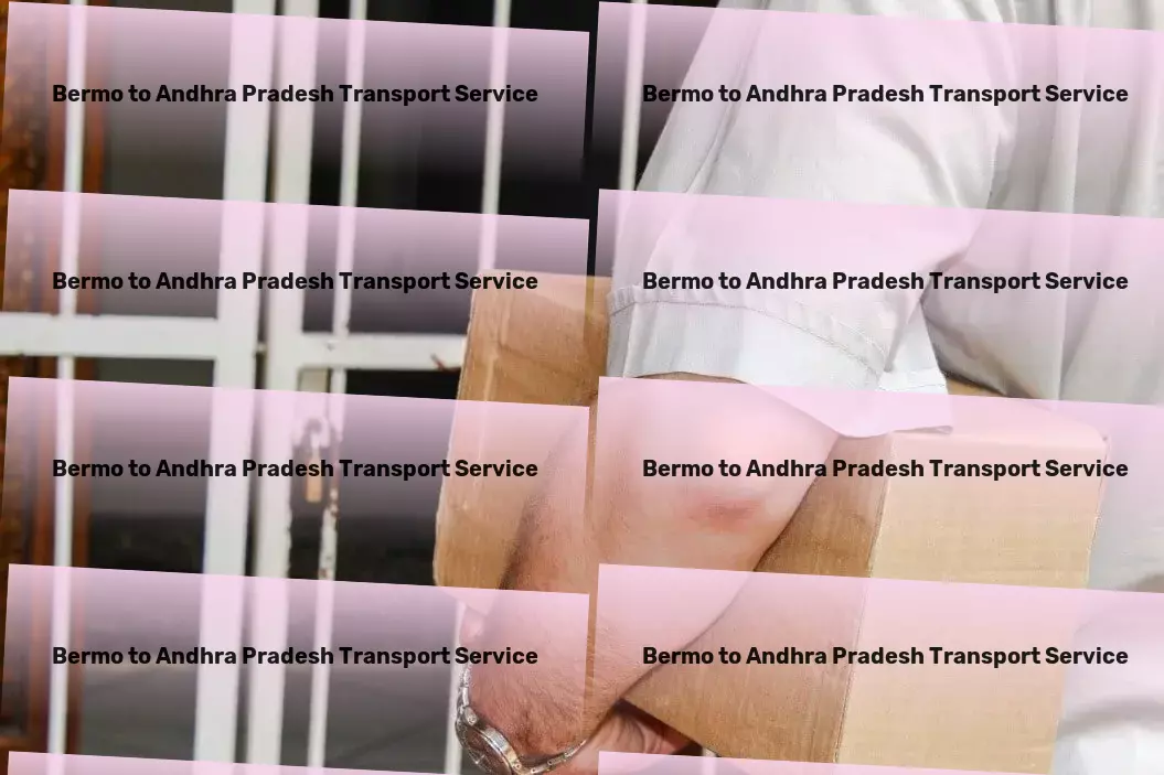 Bermo to Andhra Pradesh Transport Secure parcel transport