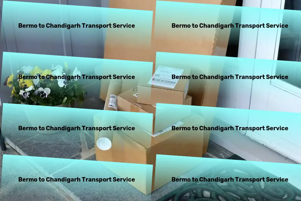 Bermo to Chandigarh Transport Innovative transport solutions