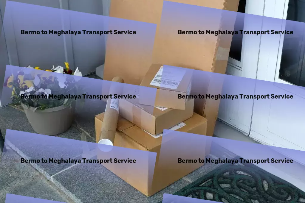 Bermo to Meghalaya Transport Regional packers and movers