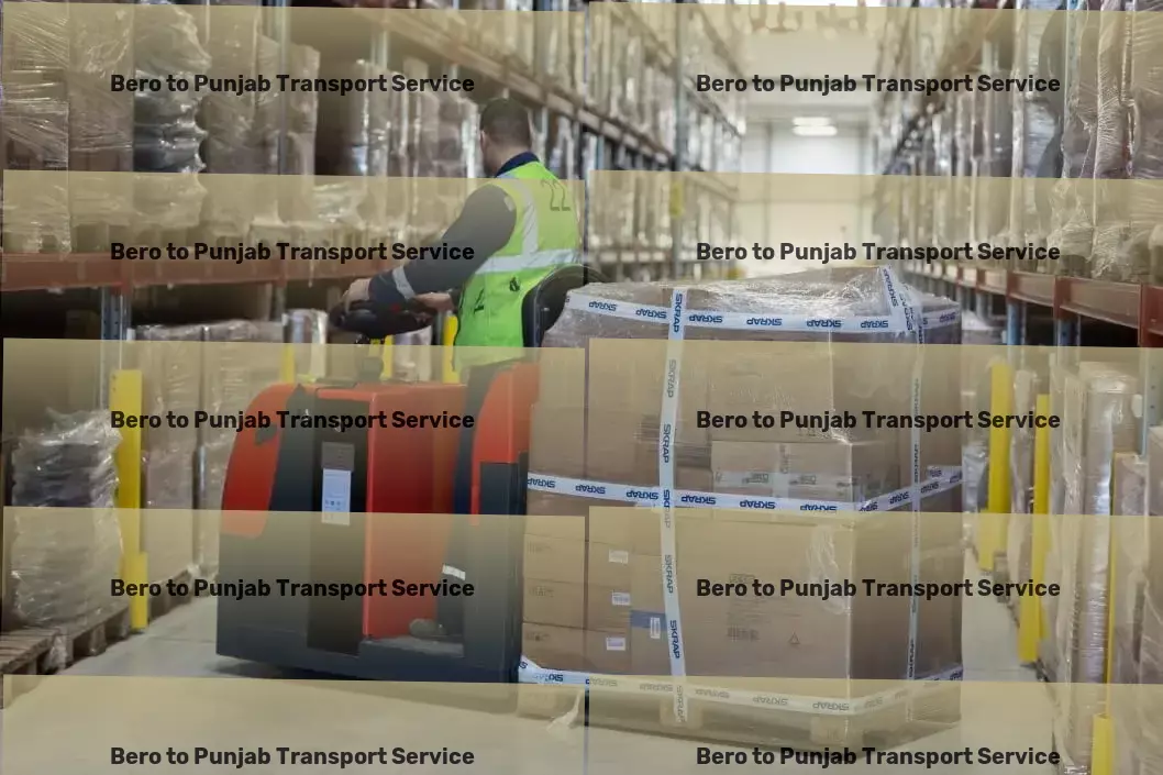 Bero to Punjab Transport Multi-regional freight logistics