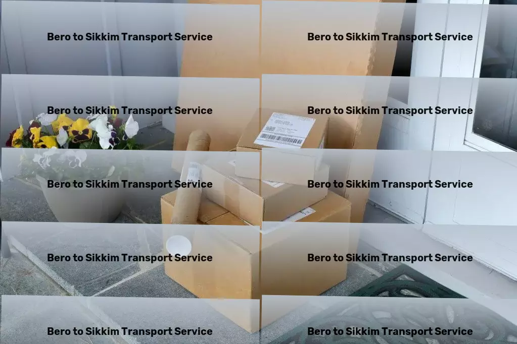 Bero to Sikkim Transport Long-haul cargo logistics