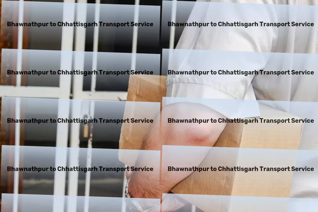 Bhawnathpur to Chhattisgarh Transport Professional moving logistics