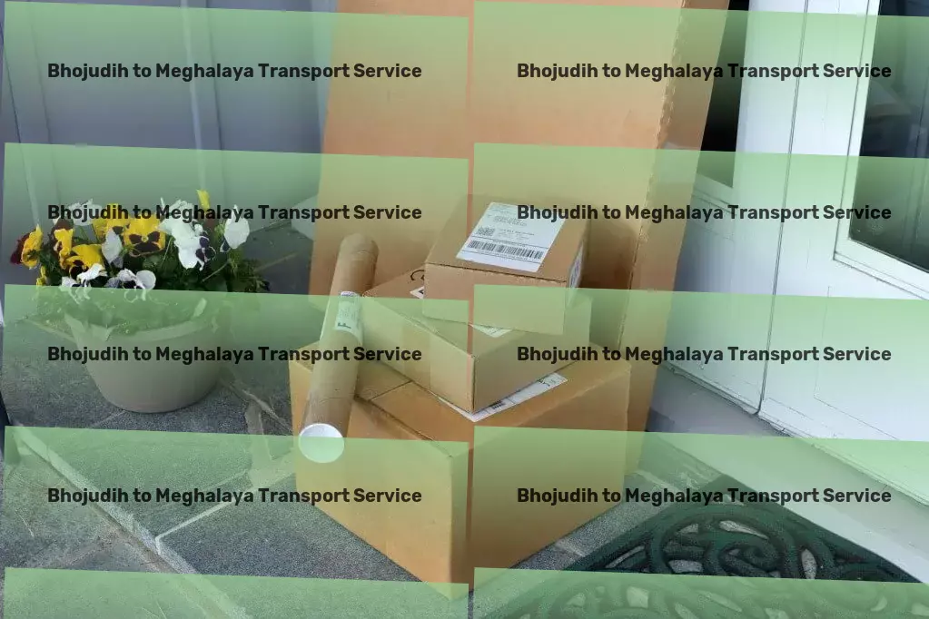 Bhojudih to Meghalaya Transport Custom freight services