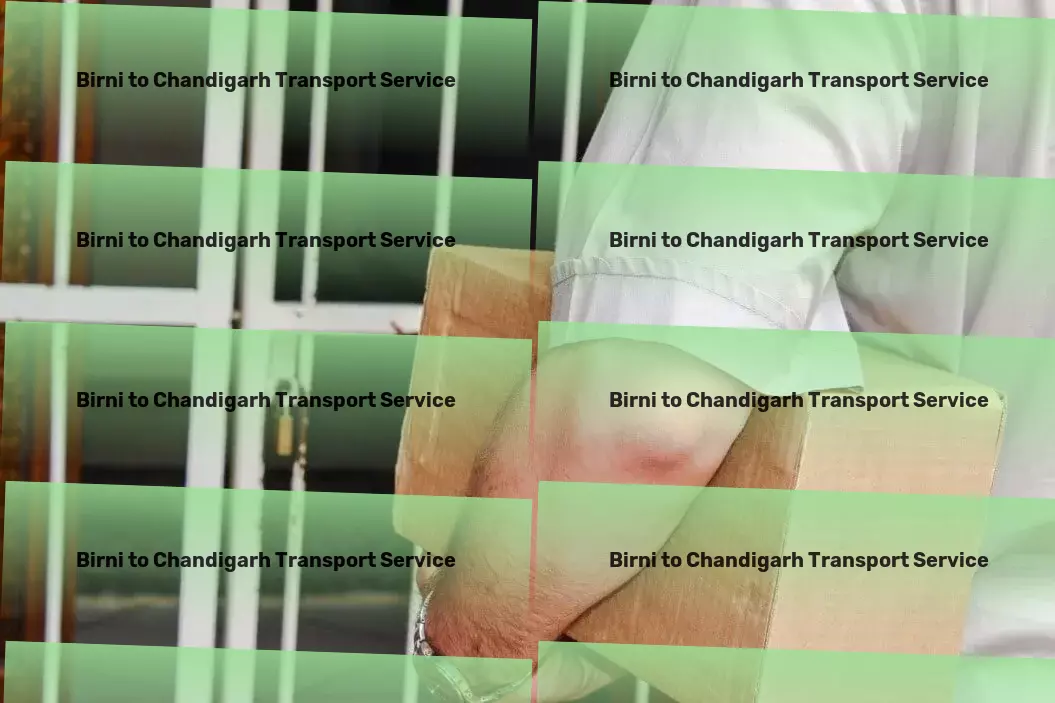 Birni to Chandigarh Transport Nationwide distribution logistics