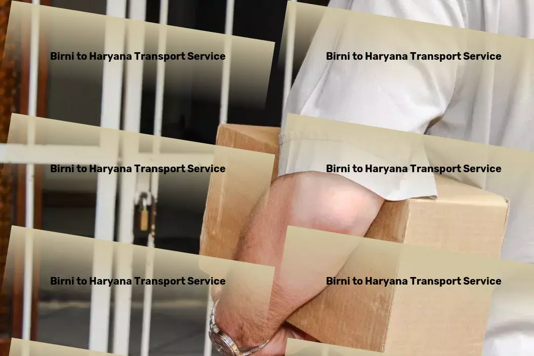 Birni to Haryana Transport Urban cargo logistics