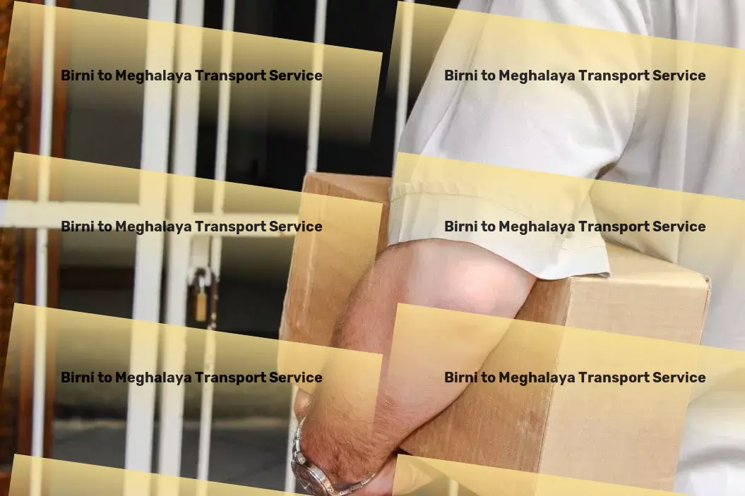 Birni to Meghalaya Transport Specialized freight logistics