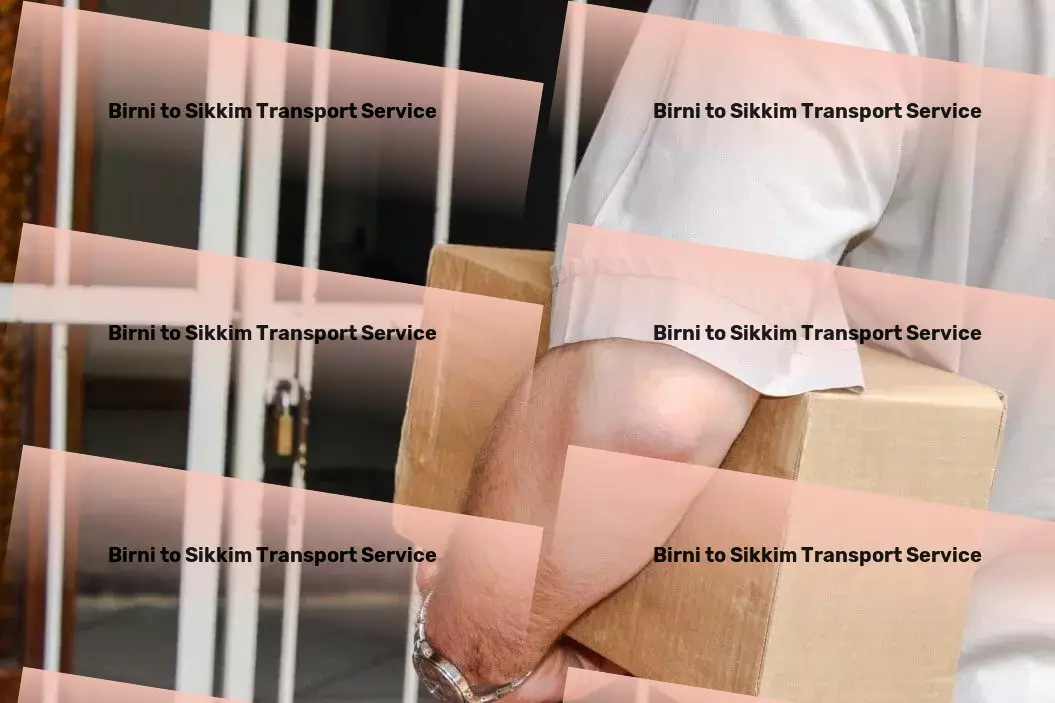 Birni to Sikkim Transport Custom freight forwarding