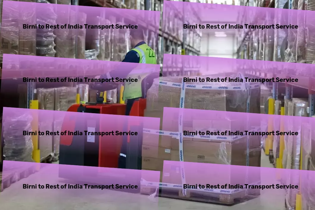 Birni to Rest Of India Transport Trucking logistics