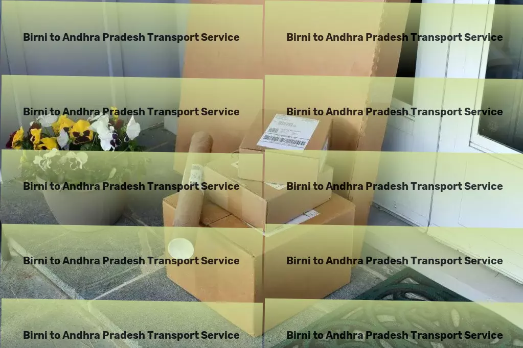 Birni to Andhra Pradesh Transport Critical package delivery