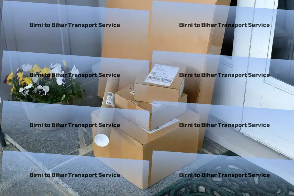 Birni to Bihar Transport Nationwide parcel transport