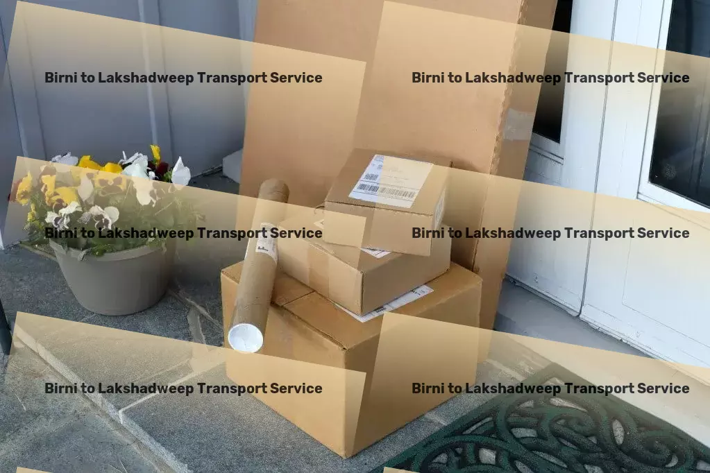 Birni to Lakshadweep Transport Tailor-made transportation solutions just for India! - Cargo insurance services