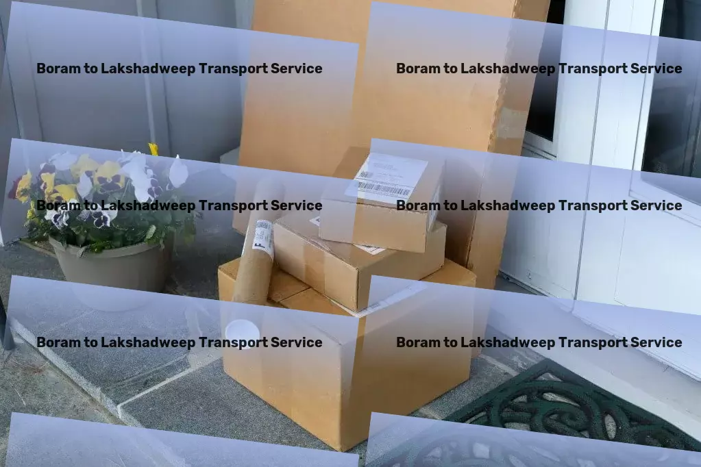 Boram to Lakshadweep Transport Specialized packing services