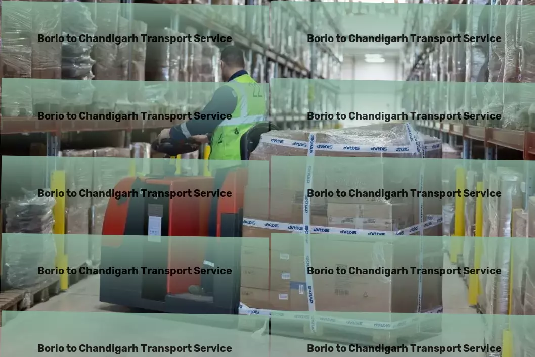 Borio to Chandigarh Transport Domestic transport logistics