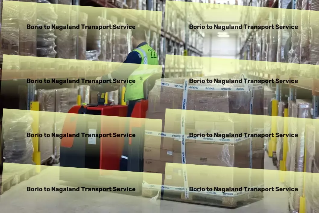 Borio to Nagaland Transport Inter-regional packers and movers