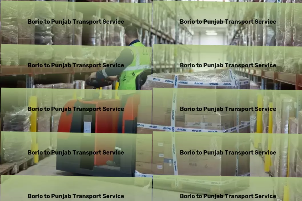 Borio to Punjab Transport Express moving services