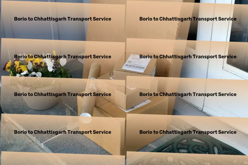 Borio to Chhattisgarh Transport Professional logistics solutions