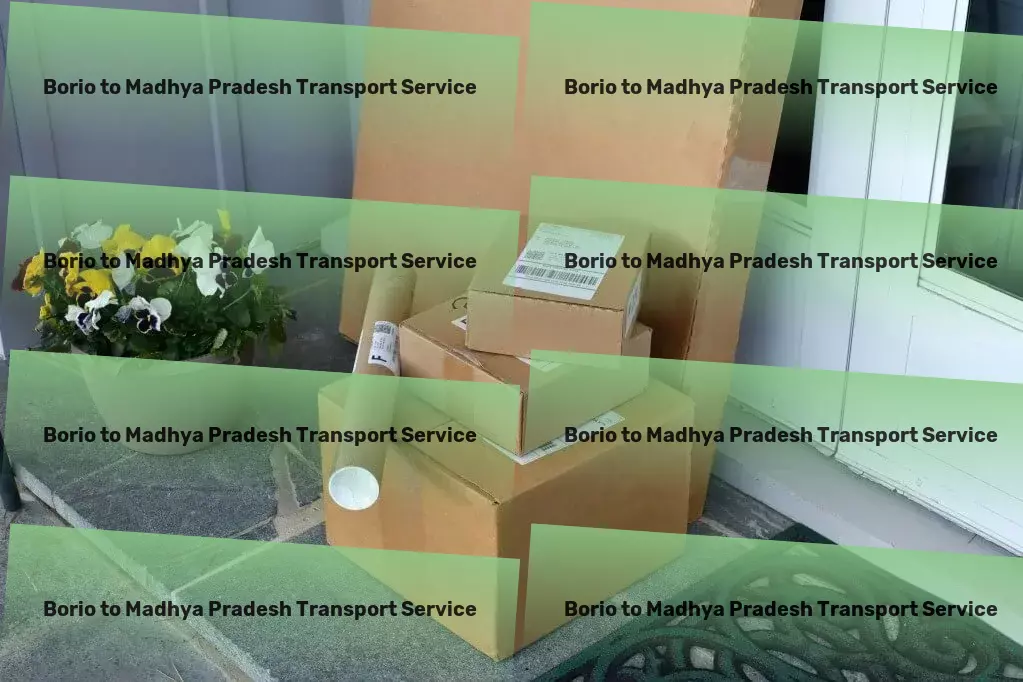 Borio to Madhya Pradesh Transport Commercial shipping solutions