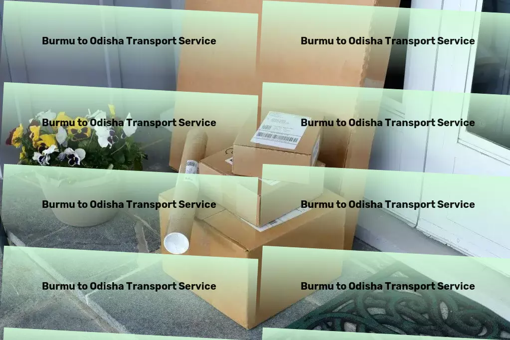 Burmu to Odisha Transport Customized parcel services